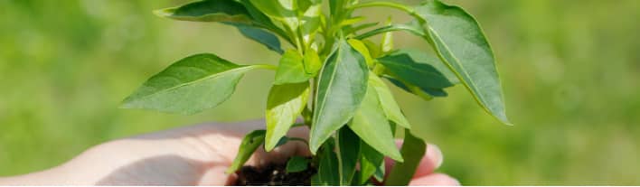 トピックス一覧